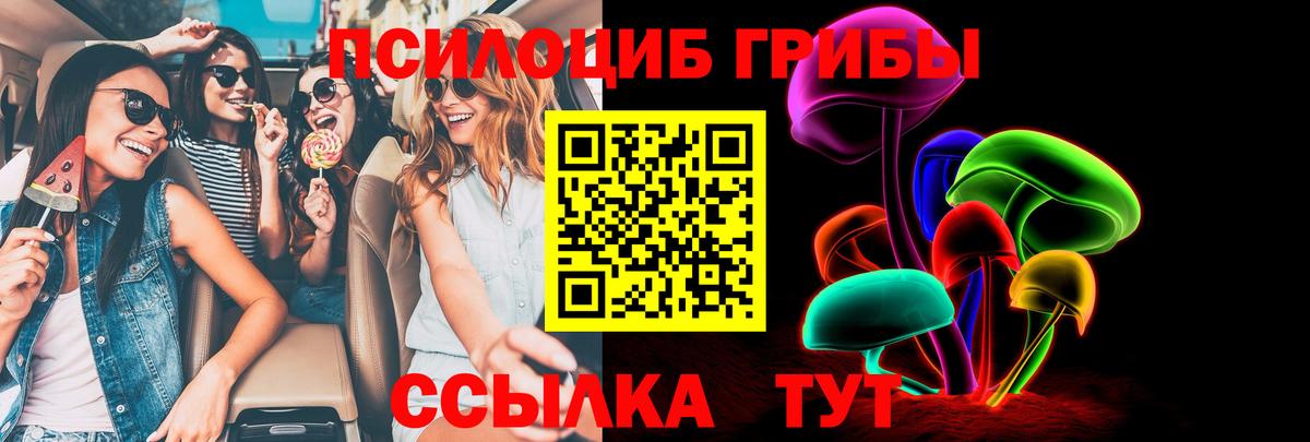 Королёв  Галлюциногенные грибы Magic Shrooms  Вход с VPN  Псилоцибиновые грибы мицелий 